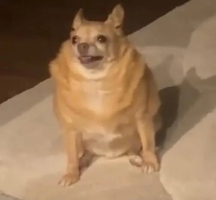 702latino profile photo