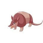 Armadillooutpost OnlyFans profile on OnlySeek