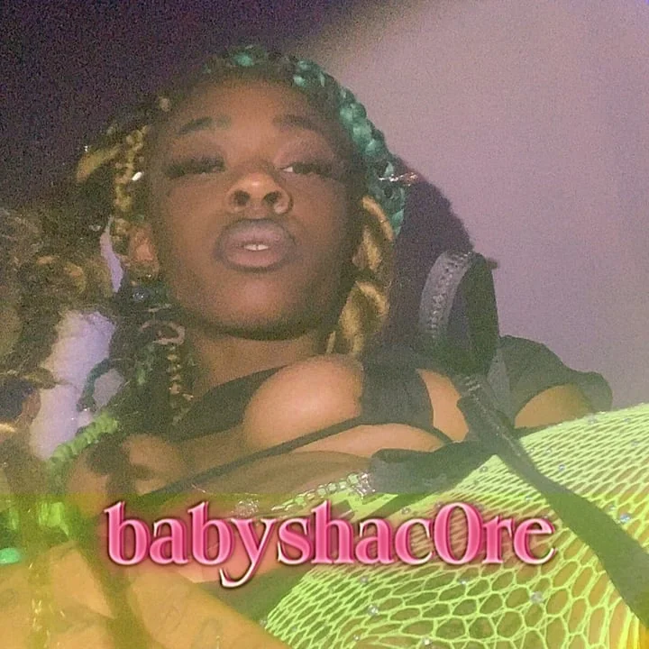Babyshacore profile photo