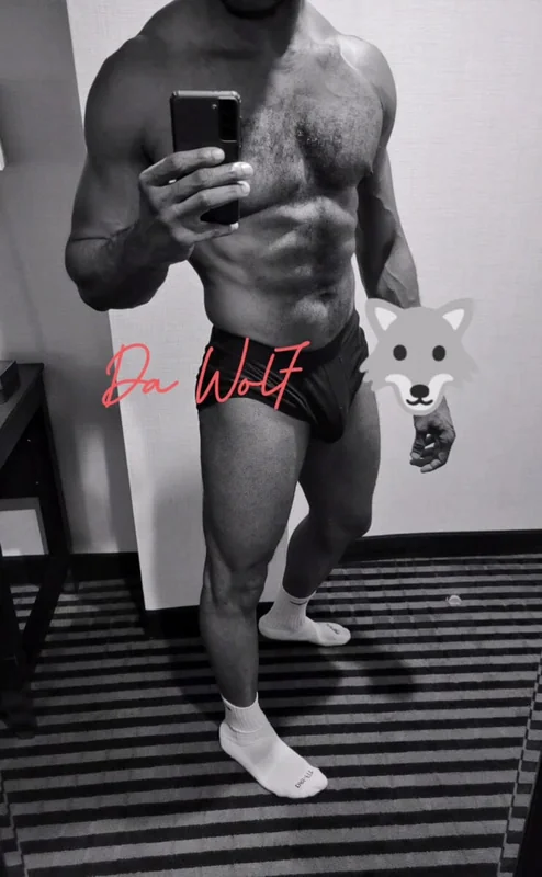 Baddae OnlyFans profile on OnlySeek