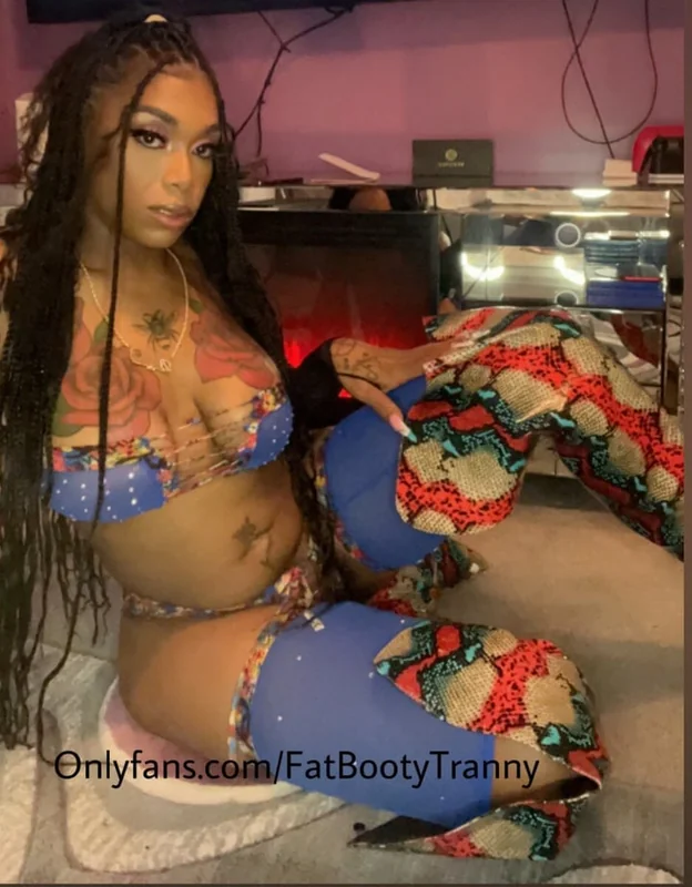 Fatbootytranny profile photo