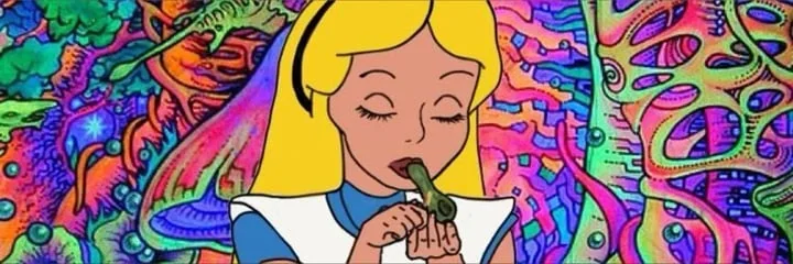 Ari Cooper profile photo
