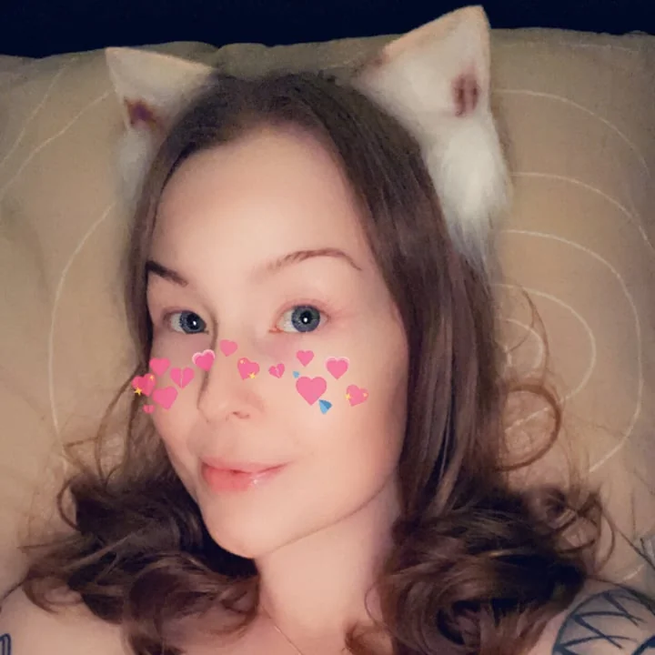 kitten profile photo