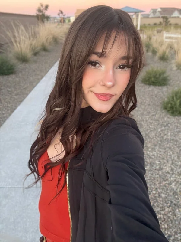 kittykat 🐱 profile photo