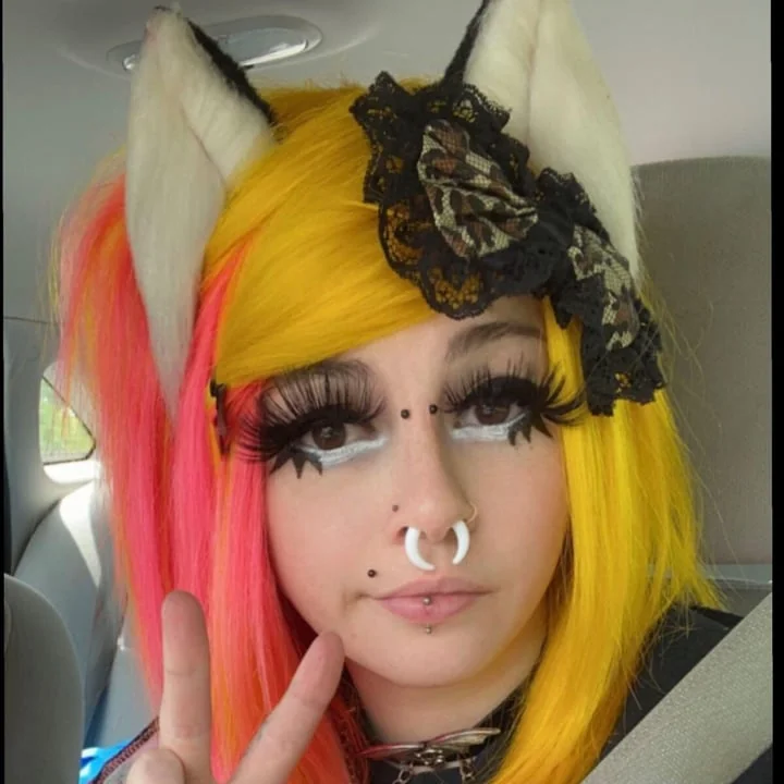 Meowlex OnlyFans profile on OnlySeek