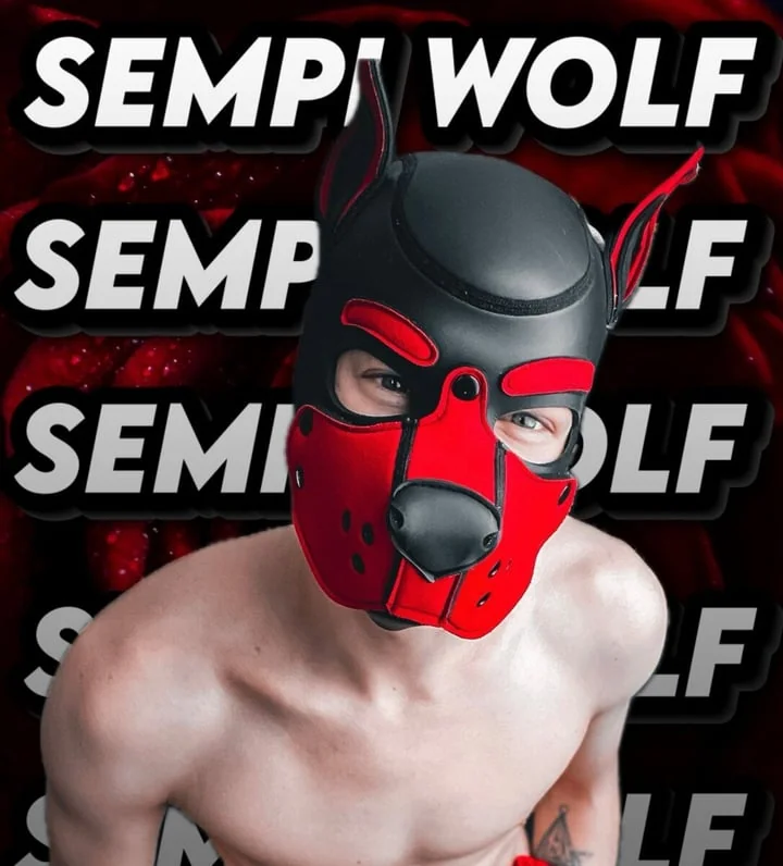 Sempiwolf profile photo