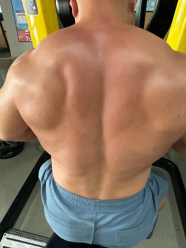 Muscle Bear Tiger profile photo
