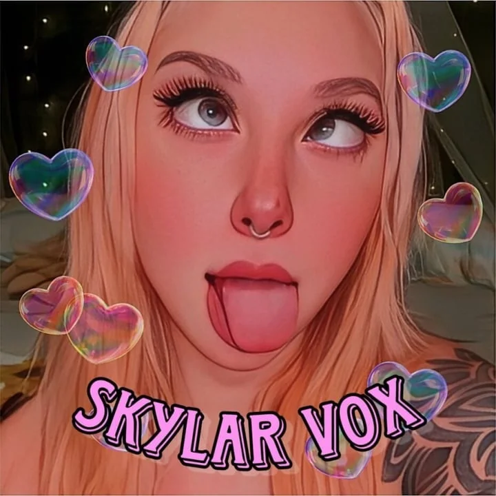 Theskylarvox profile photo