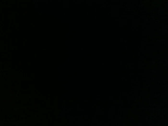 U262649530 profile photo