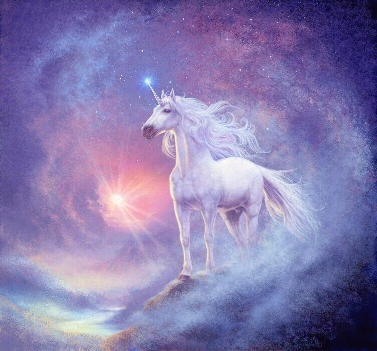 Unicornfireflies profile photo