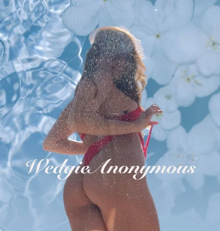 Wedgieanonymous OnlyFans profile on OnlySeek