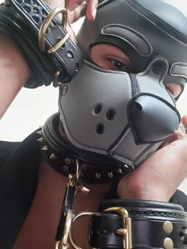 Yeen Pup Bean profile photo